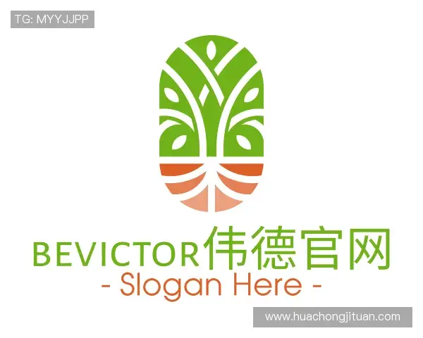 解读bv伟德国际官方网站